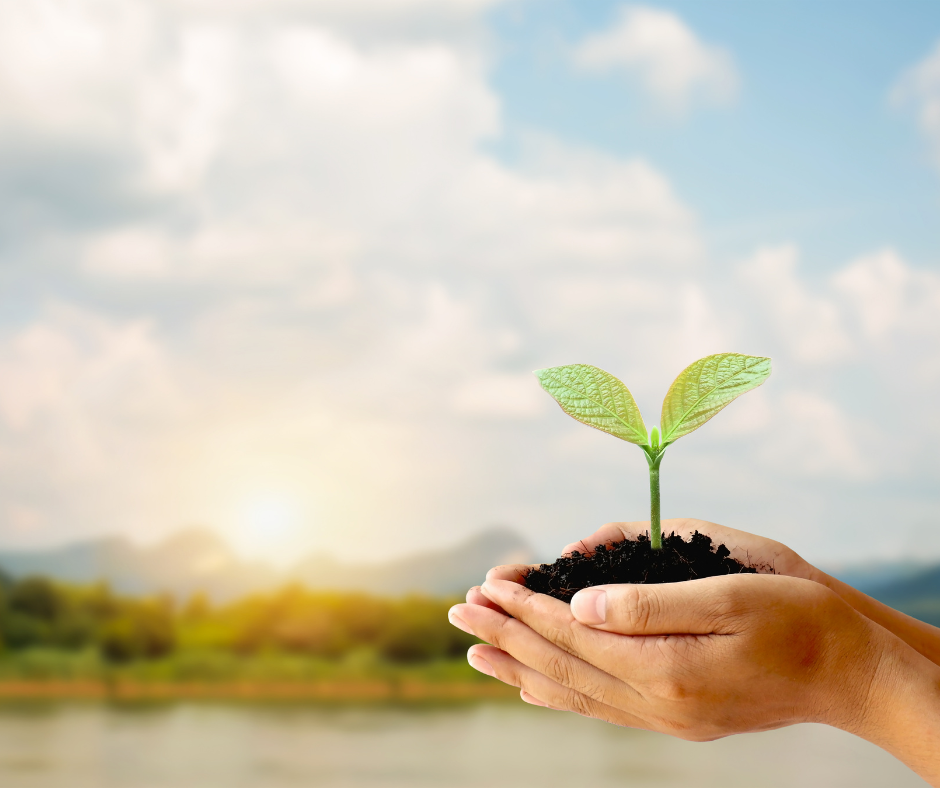 Vajon mi aggasztja a leginkább a magyarokat, ha a környezetvédelemről van szó?  